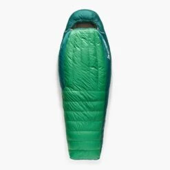 Sea To Summit Ascent Down Sleeping Bag -9°C -Sea to Summit Sale Store AscentDownSleepingBag 9C 15FRegular ASL041101 052003 PRIMARY